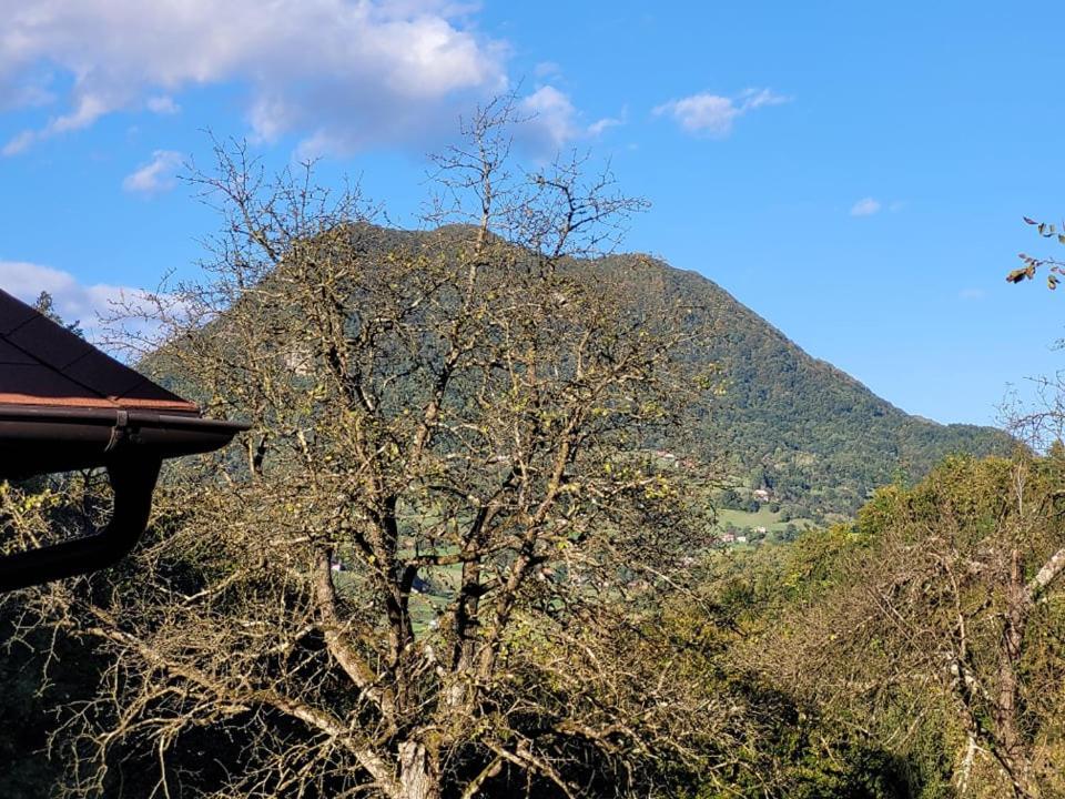 Turisticna Kmetija Kunstek Villa Rogatec Dış mekan fotoğraf
